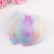 드림캐쳐 DIY 공예용 거위 깃털, 마카롱혼합