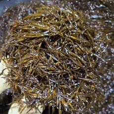 초록수산 완도산 신지 생 톳 2kg, 1개, 생톳 10kg