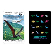 공룡기 공룡 카드 세트 (20종 1세트), 1개