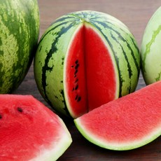 [굿피플] 산지직송 꿀수박 고당도수박 수박 하우스수박, 1박스, 하우스 수박 실속형 8kg 미만