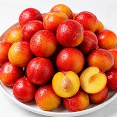 [재구매1위 산지직송] 고당도 노지 햇자두 정품 당도보장, 1개, 1kg