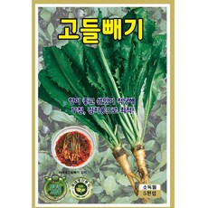 식물의집 고들빼기 씨앗 고들빼기 씨 민속채소씨앗 씨, 1개