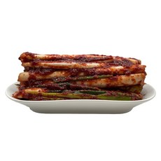화끈하고 맛있게 매운 실비 대파김치 1kg 국내산100% 오늘담근 송미푸드김치, 1개