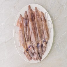 동해안 활 급냉 한입 총알 한치 500g 통찜 숙회, 1개