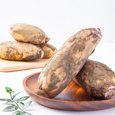 [더조은푸드] 신선한 국내산 흙 연근 (실속형) 연근채 / 말린연근 / 생연근, 1개, 연근 (실속형) 1kg