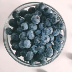 농장따옴 친환경 국산 무농약 생블루베리 블루베리 생과, 200g(상사이즈), 1개