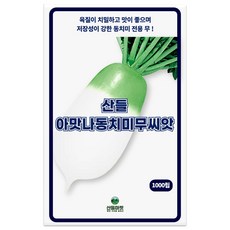 산들 아맛나 동치미 무씨앗 1000립 육질이 단단한 김장 무씨 종자, 1개