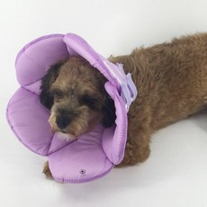 DING DONG PET 寵物專用花朵造型魔鬼氈防舔圈 紫色 XL號, 1個