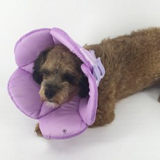 DING DONG PET 寵物專用花朵造型魔鬼氈防舔圈 紫色 M號, 1入