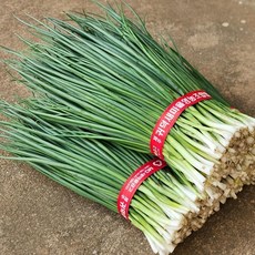 제주울엄마 직접 농사지은 해풍맞은 깐 쪽파, 1kg, 1개