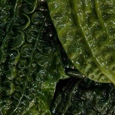 [삼화해조류] 완도 곰피 쇠미역 4kg, 1개