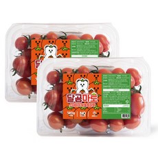 달곰마토 스테비아 방울토마토, 1개, 1kg