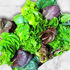 [물맑은 양평] GAP인증 지평 농부 모듬쌈2kg, 2kg, 1개