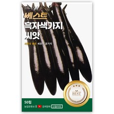 베스트 흑자색 가지 씨앗 50립 반촉성 시장성 우수한 가지씨 종자, 1개