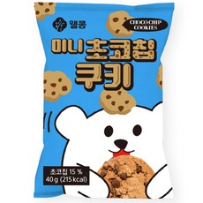 웰콩 미니초코칩쿠키, 20개, 40g