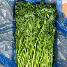 바르다야채 국내산 나주 미나리, 1kg, 1개