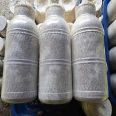 모두다팜 버섯종균 느타리버섯종균 병형 (1병) 느타리종균 버섯재배 버섯키우기 버섯 접종 버섯키트 버섯배지, 1개