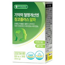 징코 플러스 은행잎 추출물 식약청인증 기억력 혈행 개선 메이제이, 2박스, 30정