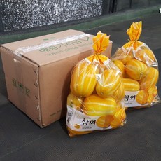 성주 꿀 참외 당도 보장 산지직송 2kg, 1박스, 성주참외 2kg 랜덤