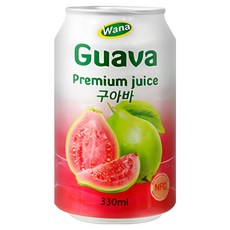 [이.그.구] 이건 그냥 구아바입니다., 330ml, 24개
