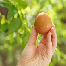 대란 구운계란 HACCP 국내산 구운란, 1개, 30구