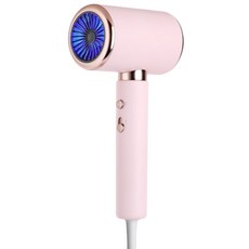 AOUDK 파워풍량 전문가용 이온 헤어 드라이어 2000W, 핑크색, STL-8878Pro