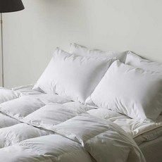 바운티풀 특급호텔침구 구스다운 베개솜 1000g+베개커버, 베개솜1000g+베개커버화이트