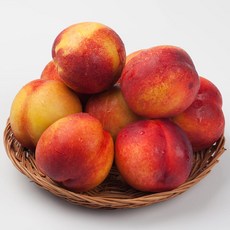산지직송 고당도 신비복숭아 대과 여름 한정 프리미엄 제철 과일, 1개, 신비복숭아 대과 1kg(6-8과)