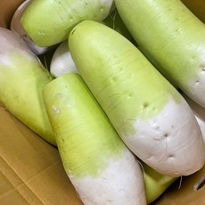 (당일경매) (당일출고) 아삭하고 달큰한 국내산 무 5kg 10kg 20kg 1박스 (최상급) (제주산), 1개