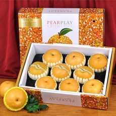 [푸르젠] [대통령상 수상] 탑푸르트 나주신고배 선물세트, 7.5kg, (7~8과), 1개