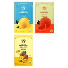 작십랩 콤부차 CITRUS시트러스 세트, 5g, 10개입, 6박스