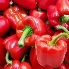 갓 수확한 파프리카 빨강 노랑, 1박스, 빨강 3kg