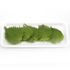 새벽경매 국내산 A급 시소잎 일본깻잎 1팩 25장, 01.시소 _1팩(25장내외), 1개