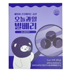 100% 빌베리 농축분말 안토시아닌 루테인대신 눈건강 눈영양 겨울철 환절기 눈피로 시력보호, 28g, 3세트