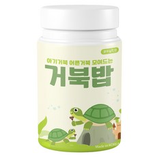 페이토 전연령 거북이 사료 거북밥 + 먹이스푼 세트, 100g, 1세트