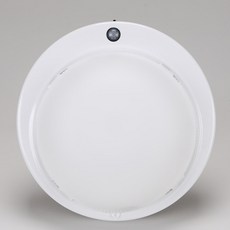 비상 인체감지 센서등 전구타입 E26 국내제조 KC인증, 1개