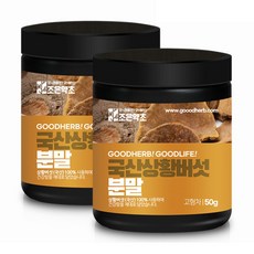 조은약초 국산 상황버섯 분말, 50g, 2개