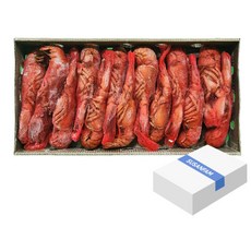 캐나다 자숙 랍스터 4.54kg 약10미(450/500) 바닷가재 랍스타, 1개, 4.54kg 약11미(400/450)