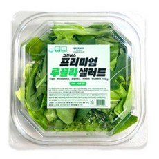 그린어스 무농약 친환경 유러피안 프리미엄 루꼴라 샐러드 간편 트레이, 100g, 5개