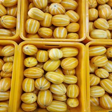 진짜 성주 꿀 참외 못난이5kg (실중량4.5kg), 1박스, 5kg랜덤, 진짜성주꿀참외 못난이 포장재무게포함
