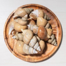 2024 햇 포항 국내산 활백고동 백고동 골뱅이 골뱅이탕, 1개, 중대 1kg