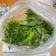 Rau nem 라우넴 세트 100g (que +ngo gai +ngo om) /아시아 농장 송소희, 1kg