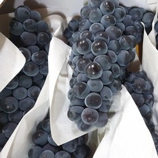 고당도 제철 켐벨 캠벨포도 포도 1kg 2kg 3kg 프리미엄 특등급 상주 모동 모서 봉지 노지 하우스 김천 포도, 1박스, 1kg (캠벨포도) 2-4수