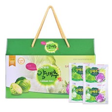 양배추즙 양배추 땅끝해남 명랑 유기농양배추즙 100ml, 30개