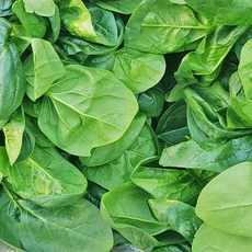 국산 시금치 4kg 원예농협 가락시장, 1개