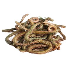 왁스웜월드 동결건조 갯지렁이 청개비 낚시미끼 건조청개비 낚시꿀템 최고품질 간편 소포장, 1개, 10g