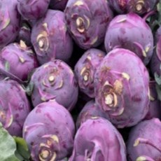 제주 햇 콜라비 적 콜라비 못난이 콜라비, 1개, 2kg