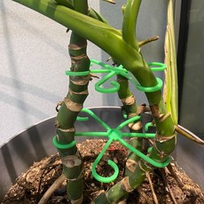 두두타운 바람개비 줄기 식물지지대 4종, 5세트