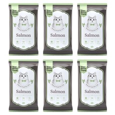 토빈즈챱 전연령 고양이 화식사료, 연어, 50g, 6개