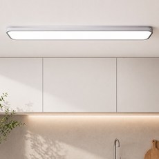 오스람 칩 시스템 프리미엄 LED 주방등 30W 60W 슬림 LED등 DC타입 플리커프리, 주방2등 60W 주광색(흰색빛)